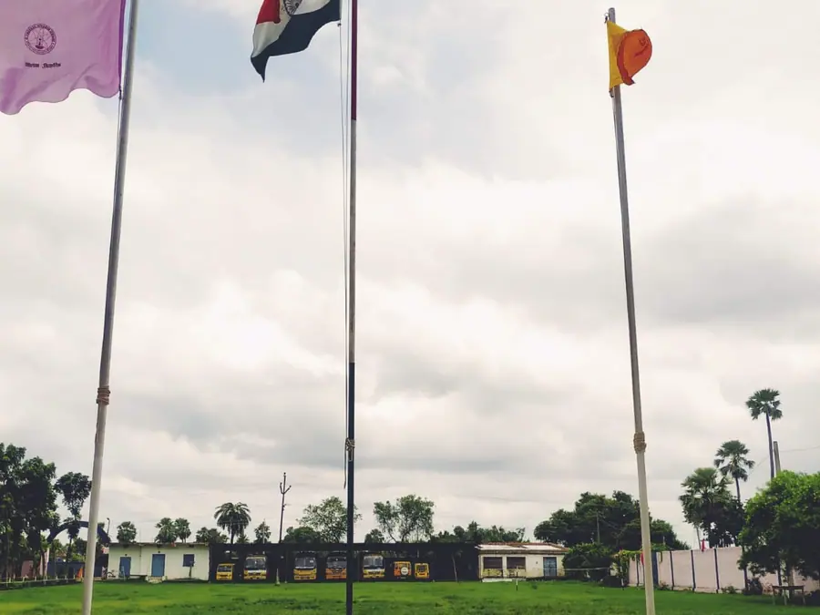 Flags over the field